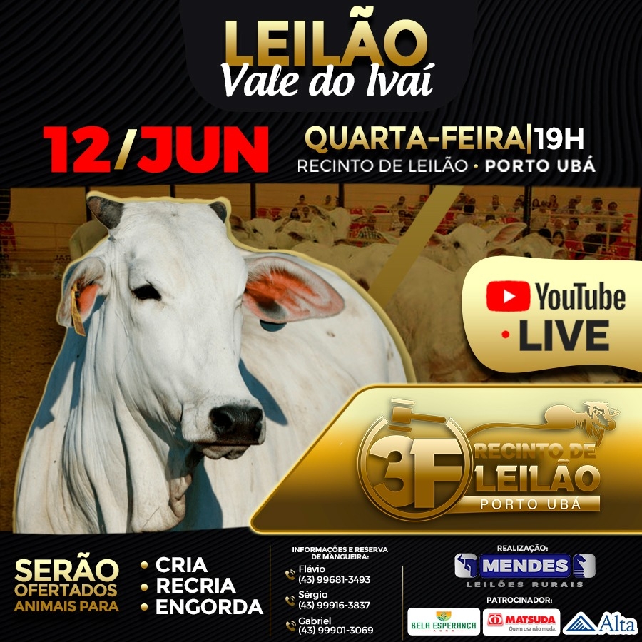 Leilão Virtual Gado de Corte de Porto Ubá