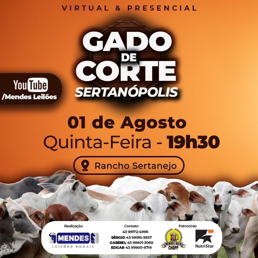 Leilão Virtual Gado de Corte Rancho Sertanejo