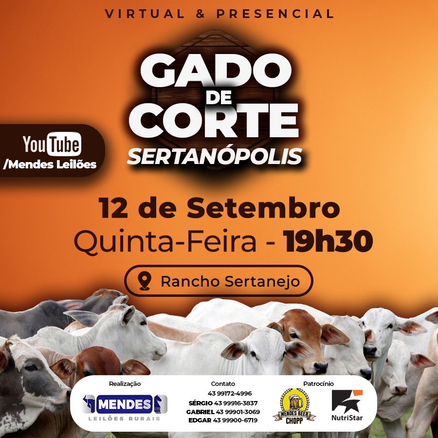 Leilão Virtual Gado de Corte Rancho Sertanejo