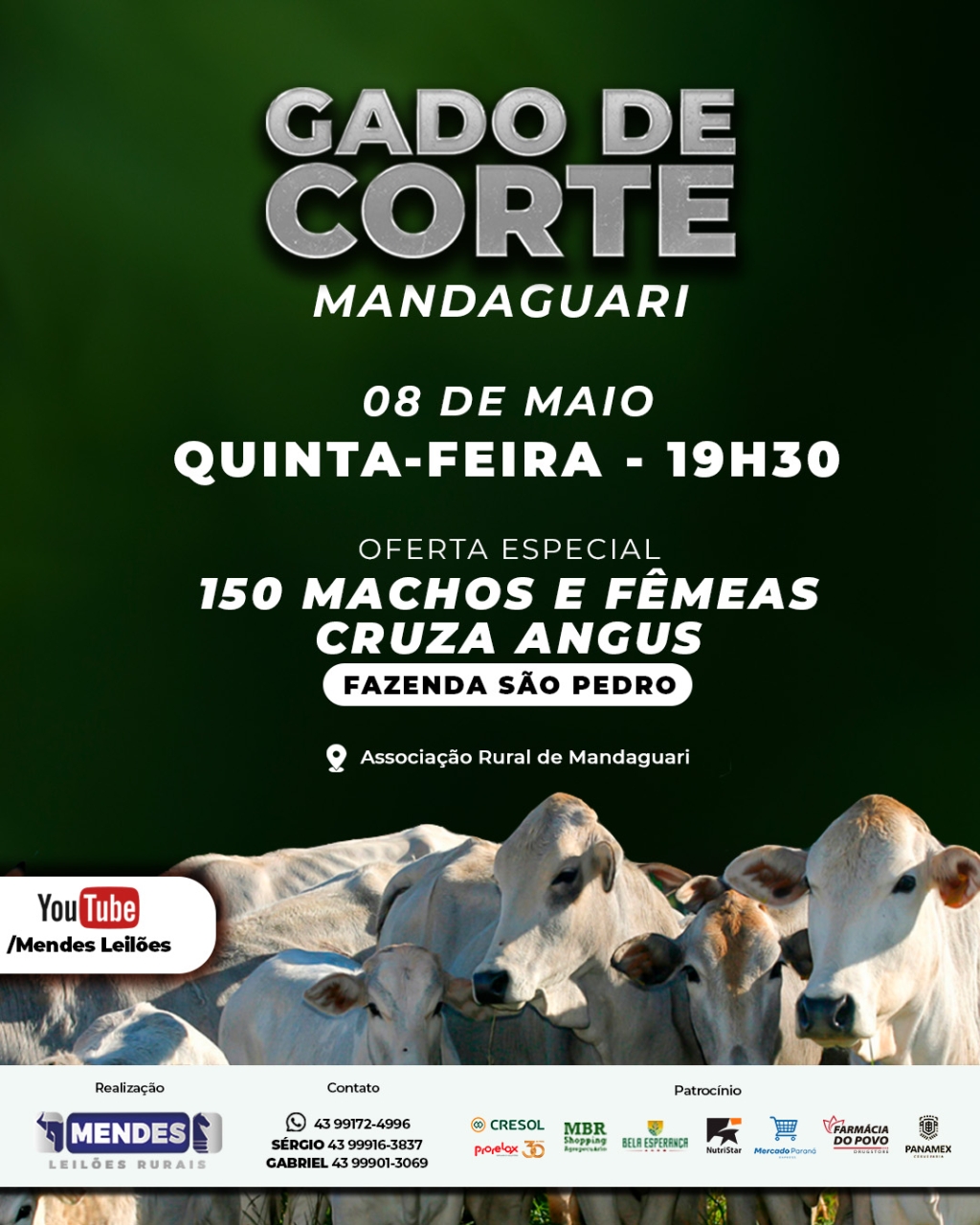 Leilão Gado de Corte de Mandaguari
