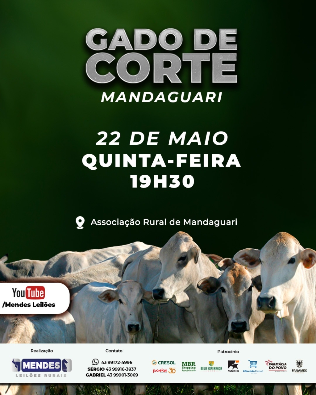 Leilão Gado de Corte de Mandaguari