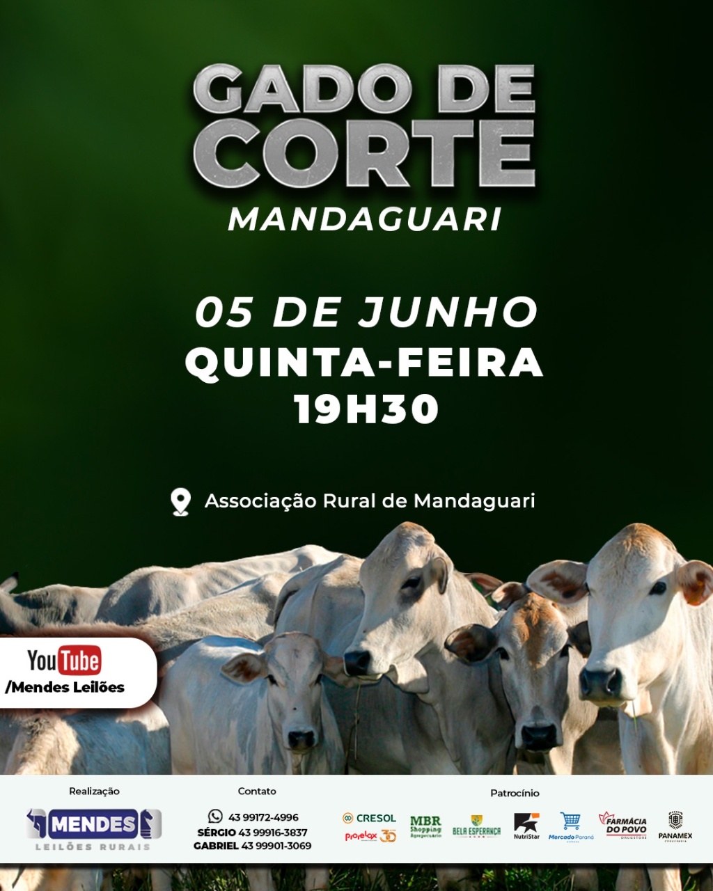 Leilão Gado de Corte de Mandaguari