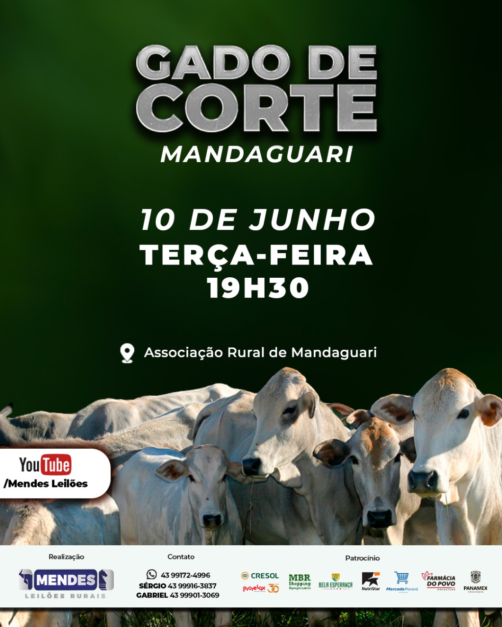 Leilão Gado de Corte de Mandaguari