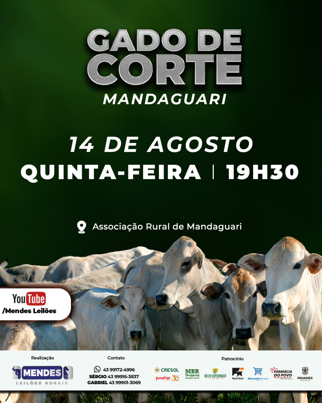 Leilão Gado de Corte de Mandaguari