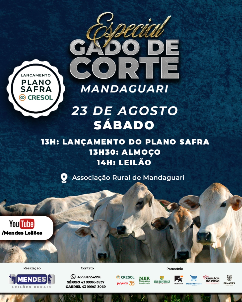 Leilão Gado de Corte de Mandaguari