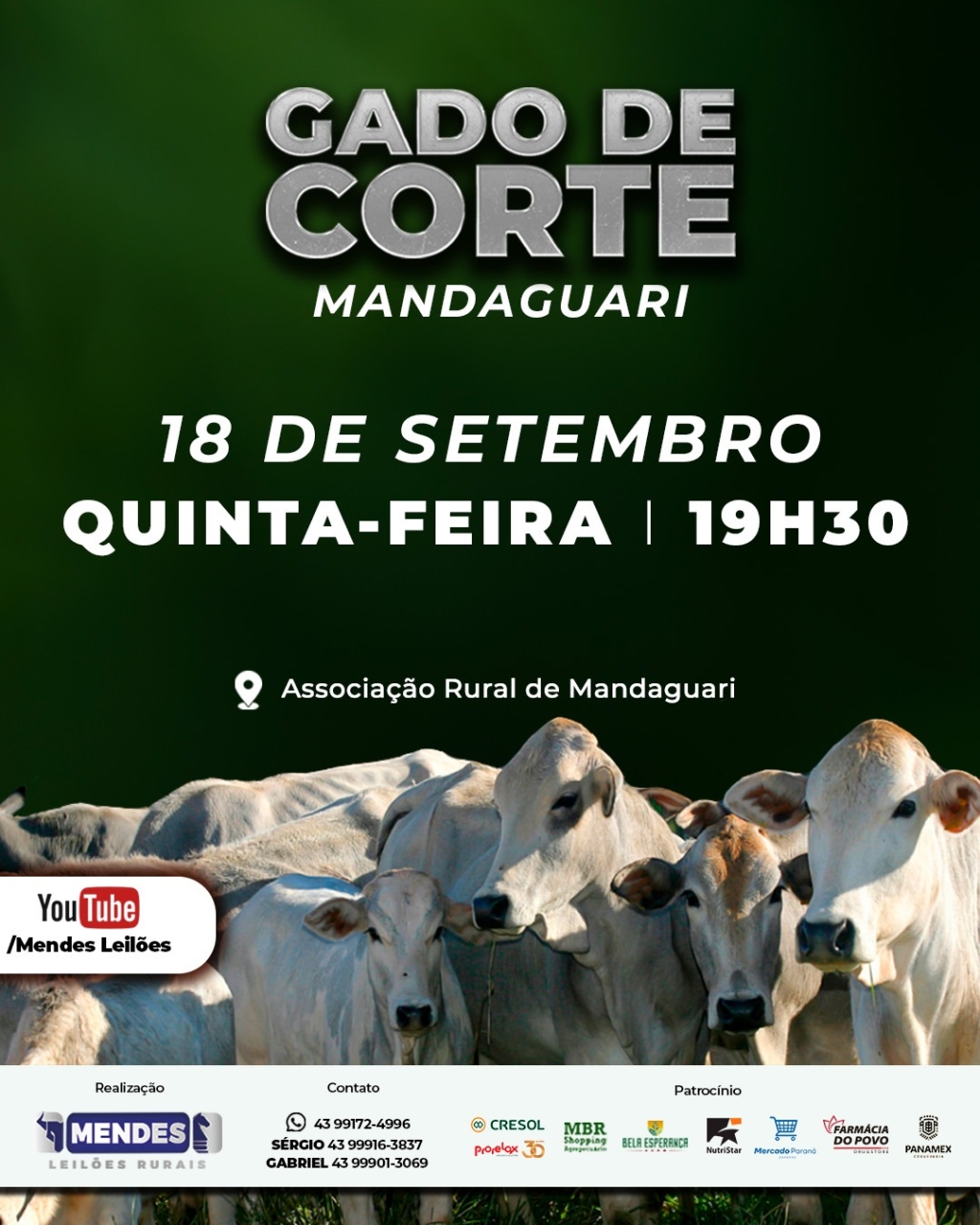 Leilão Gado de Corte de Mandaguari