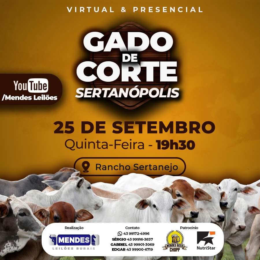 Leilão Gado de Corte de Centenário do Sul