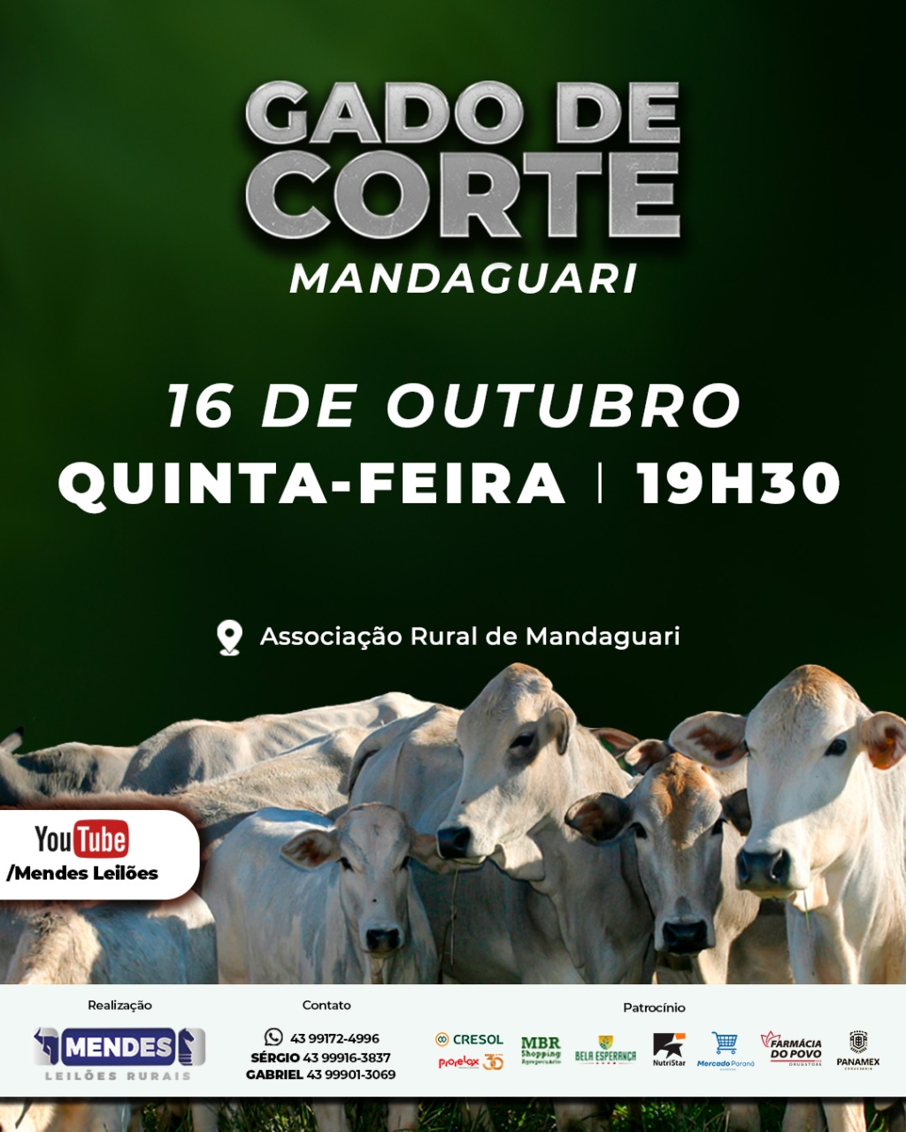 Leilão Gado de Corte de Mandaguari