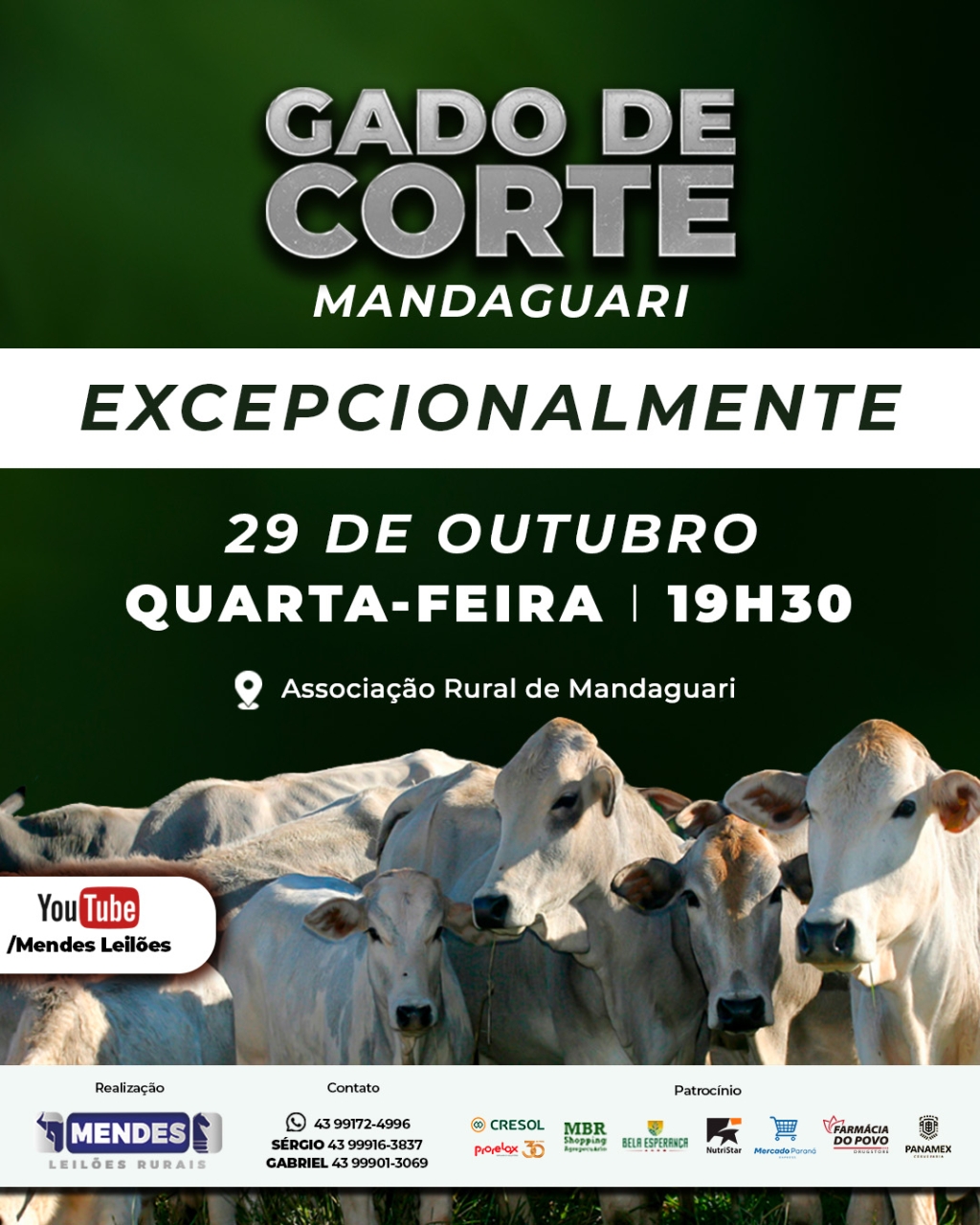 Leilão Gado de Corte de Mandaguari