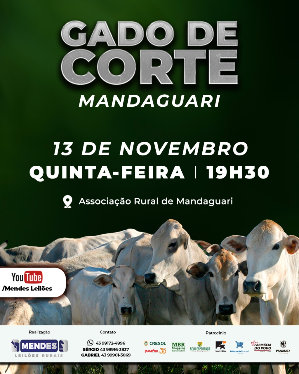 Leilão Gado de Corte de Mandaguari