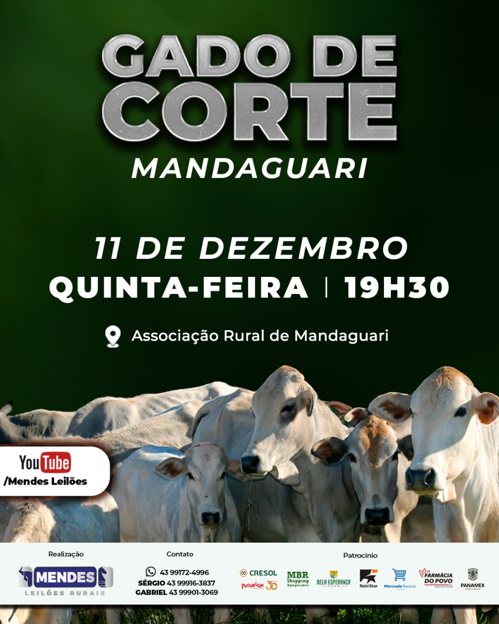 Leilão Gado de Corte de Mandaguari