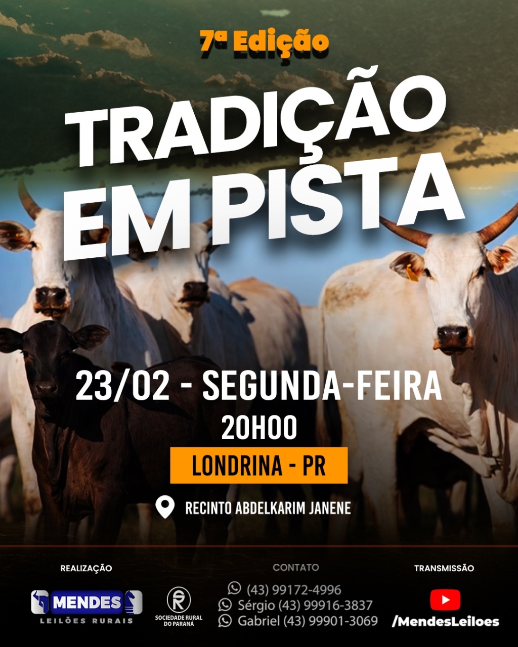 Leilão Tradição em Pista