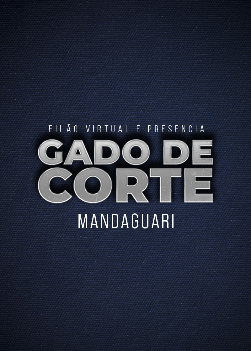Leilão de Gado de Corte - Mandaguari