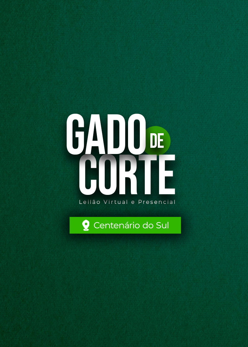 Leilão de Gado de Corte - Centenário do Sul