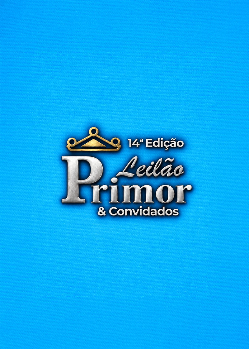 Leilão Primor & Convidados